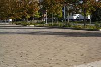 a city area with trees and paved concrete in the foreground with blue sky and sun