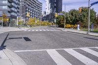 Urban Infrastructure in Toronto: Exploring the Public Space