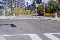 Urban Infrastructure in Toronto: Exploring the Public Space