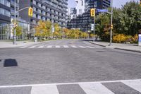 Urban Infrastructure in Toronto: Exploring the Public Space