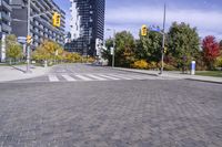 Urban Infrastructure in Toronto: Exploring the Public Space