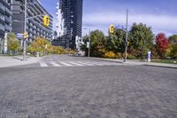 Urban Infrastructure in Toronto: Exploring the Public Space