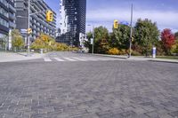 Urban Infrastructure in Toronto: Exploring the Public Space