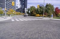 Urban Infrastructure in Toronto: Exploring the Public Space