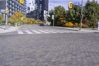 Urban Infrastructure in Toronto: Exploring the Public Space