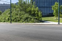 the road has very little patches of grass on both sides of the road, and several trees and bushes in front of it