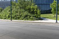 the road has very little patches of grass on both sides of the road, and several trees and bushes in front of it