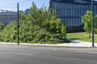 the road has very little patches of grass on both sides of the road, and several trees and bushes in front of it