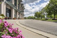 view of a road in the middle of an intersection, with flowers in front of it