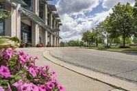 view of a road in the middle of an intersection, with flowers in front of it