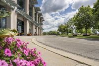 view of a road in the middle of an intersection, with flowers in front of it