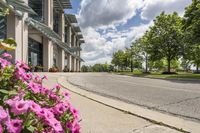 view of a road in the middle of an intersection, with flowers in front of it