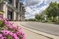 view of a road in the middle of an intersection, with flowers in front of it