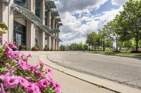 view of a road in the middle of an intersection, with flowers in front of it