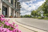 view of a road in the middle of an intersection, with flowers in front of it