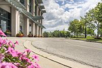 view of a road in the middle of an intersection, with flowers in front of it