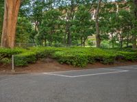 the park has trees on both sides and a fence with no grass on it, along side a road in a wooded area