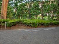 the park has trees on both sides and a fence with no grass on it, along side a road in a wooded area