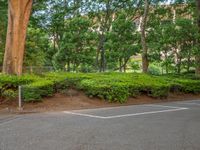 the park has trees on both sides and a fence with no grass on it, along side a road in a wooded area