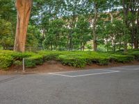 the park has trees on both sides and a fence with no grass on it, along side a road in a wooded area