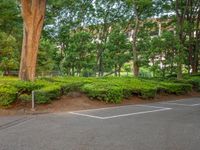 the park has trees on both sides and a fence with no grass on it, along side a road in a wooded area