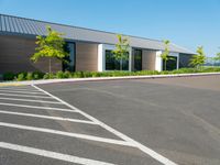 Urban Landscape: Asphalt Roads and Buildings