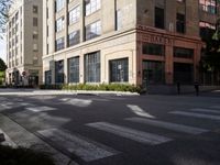 Urban Landscape: The Asphalt Roads of Los Angeles