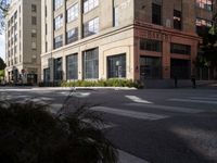 Urban Landscape: The Asphalt Roads of Los Angeles