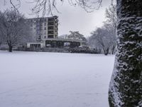 a snow covered park with a tree and building in the background area in wintertime