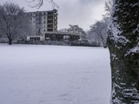 a snow covered park with a tree and building in the background area in wintertime