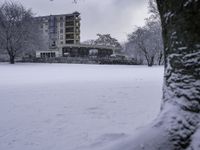 a snow covered park with a tree and building in the background area in wintertime