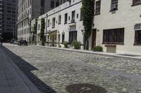 a street with a sidewalk and several buildings on it that also has a number of small plants