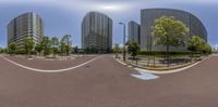 an artistic photo showing the curved road in front of several tall buildings with trees and bushes