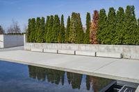 Urban Landscape: Reflections on the City's Water