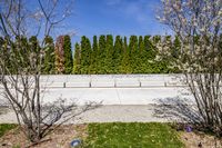 Urban Landscape: City Street with Concrete Road