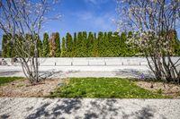 Urban Landscape: City Street with Concrete Road