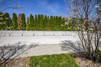Urban Landscape: City Street with Concrete Road