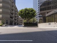 Urban Landscape with Clear Sky and Business Offices