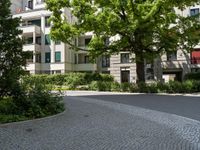 a tree line a cobblestone sidewalk in front of a city building, with large windows and a parking area beside