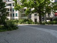 a tree line a cobblestone sidewalk in front of a city building, with large windows and a parking area beside