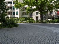 a tree line a cobblestone sidewalk in front of a city building, with large windows and a parking area beside