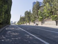 the trees on either side of the road have long shadows over it with an area for cars to drive by