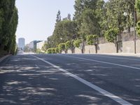 the trees on either side of the road have long shadows over it with an area for cars to drive by