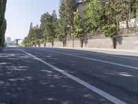 the trees on either side of the road have long shadows over it with an area for cars to drive by