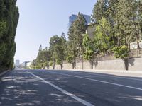 the trees on either side of the road have long shadows over it with an area for cars to drive by