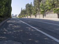 the trees on either side of the road have long shadows over it with an area for cars to drive by