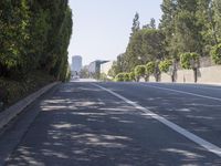 the trees on either side of the road have long shadows over it with an area for cars to drive by