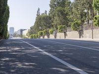 the trees on either side of the road have long shadows over it with an area for cars to drive by