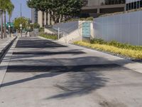 a black fire hydrant sitting in the middle of a concrete road near buildings and palm trees