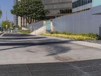 a black fire hydrant sitting in the middle of a concrete road near buildings and palm trees